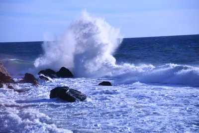 DSC_0595 (Large).JPG